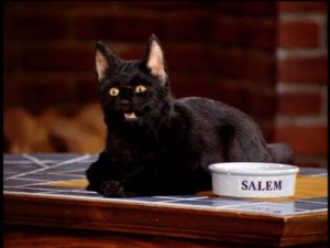 ¿Qué será de la vida de Salem…?